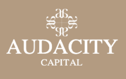 Audacity Capital Ability Challenge Analysis